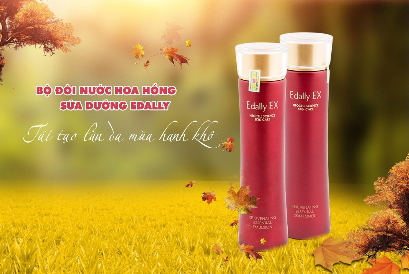 DA TRONG SUỐT & CĂNG MỌNG MỖI NGÀY